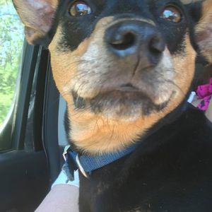 Meet your Posher, Kamie